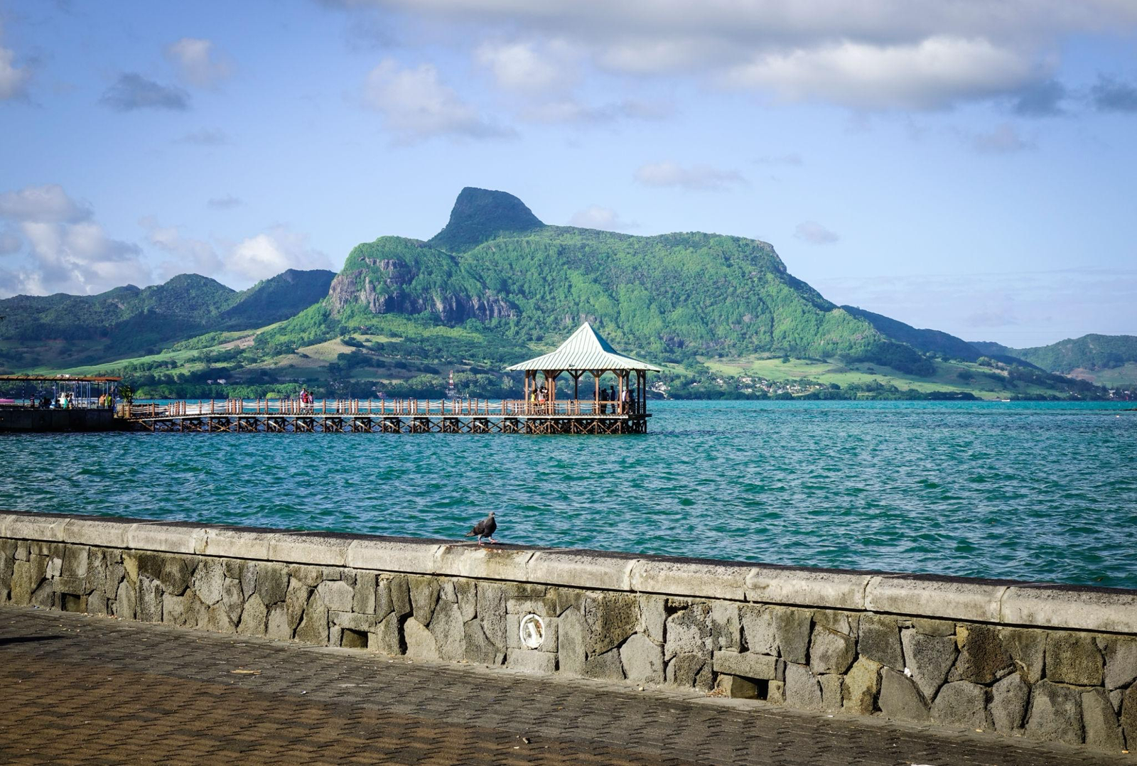 Car Rental in Curepipe