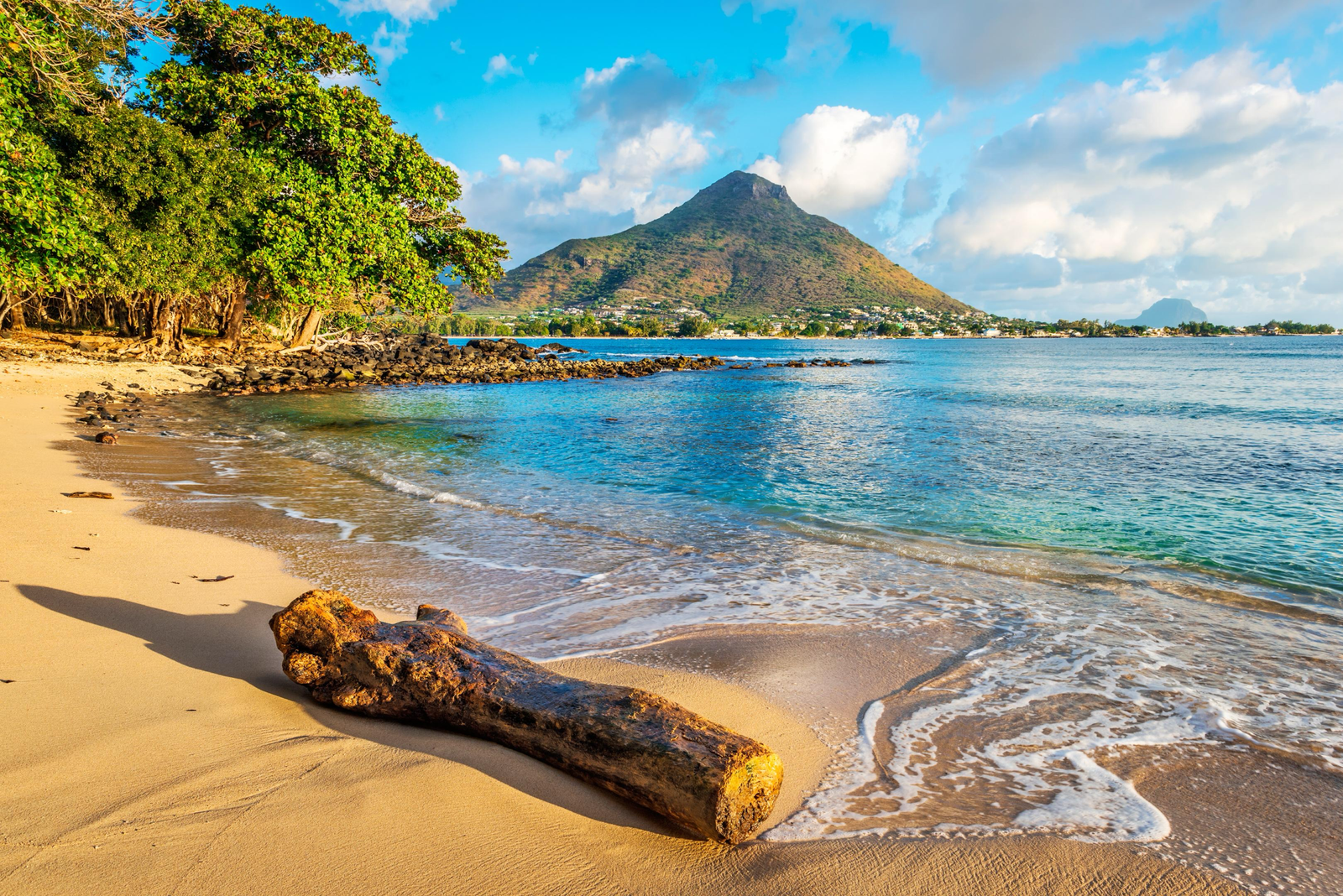 Car Rental in Tamarin